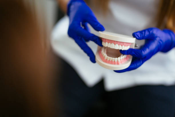 Professional  Holistic Dental Services in Darrington, WA